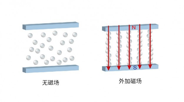 1646588044135279.jpg 图片29.jpg